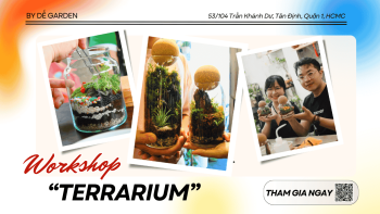 [DẾ GARDEN] Kokedama Workshop