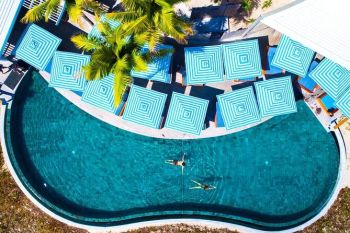 Ultimate Encounters – Snorkel With Reef Sharks