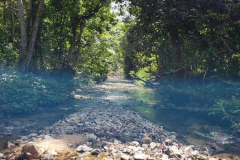 Iconic Waterfall, Sigatoka & Natadola Beach Tour