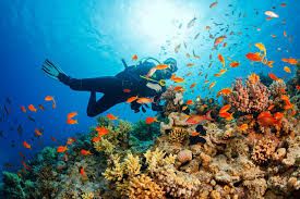 Phu Quoc Snorkeling Adventure