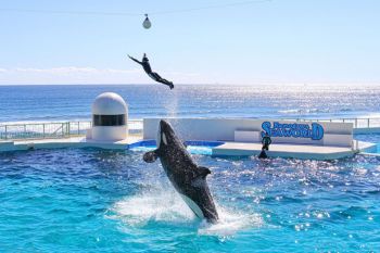 Australia Tour 5N4D: Explore Sydney - Opera House - Free Day