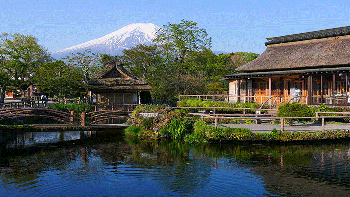 Japan Tour 5N4D: Hanoi - Tokyo - Mount Fuji - Disneyland